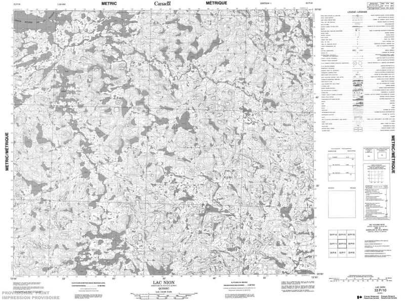 033P10 - LAC NION - Topographic Map