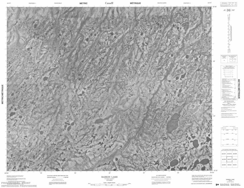 042O07 - RABKIN LAKE - Topographic Map