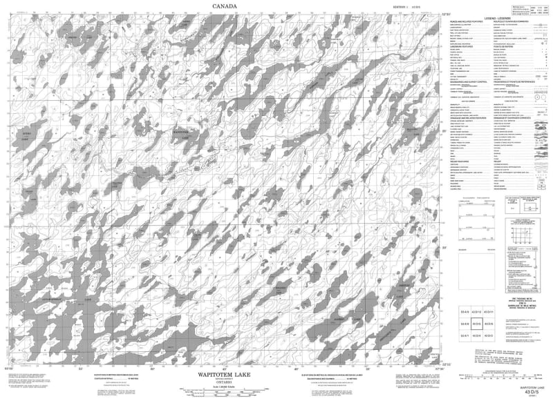 043D05 - WAPITOTEM LAKE - Topographic Map