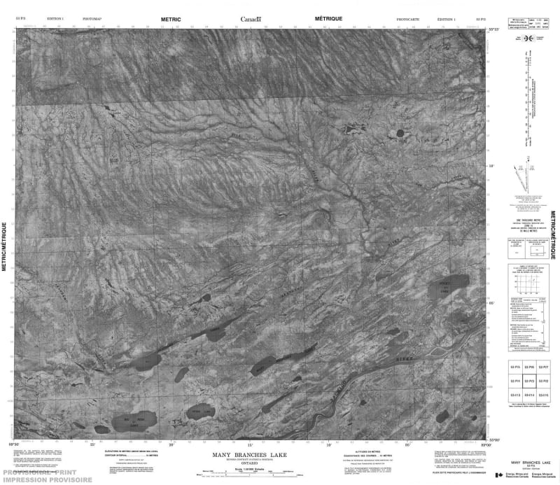 053P03 - MANY BRANCHES LAKE - Topographic Map