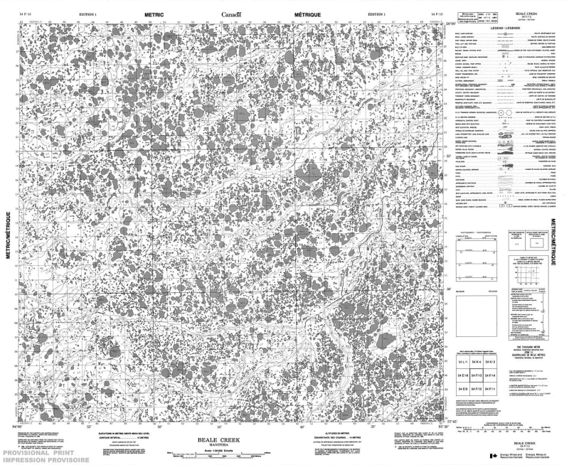 054F13 - BEALE CREEK - Topographic Map