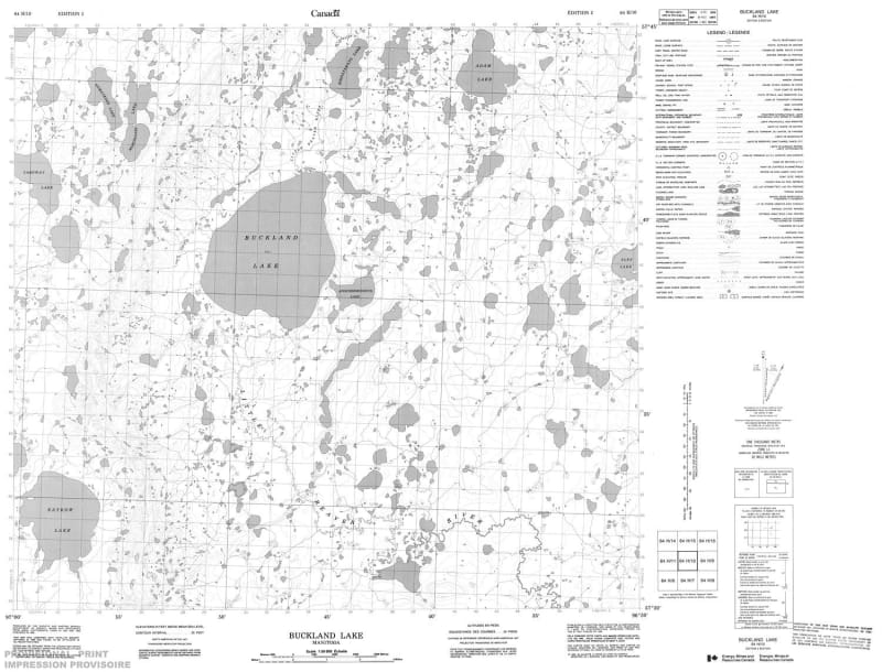 064H10 - BUCKLAND LAKE - Topographic Map