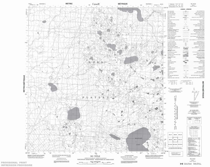 095I01 - NO TITLE - Topographic Map