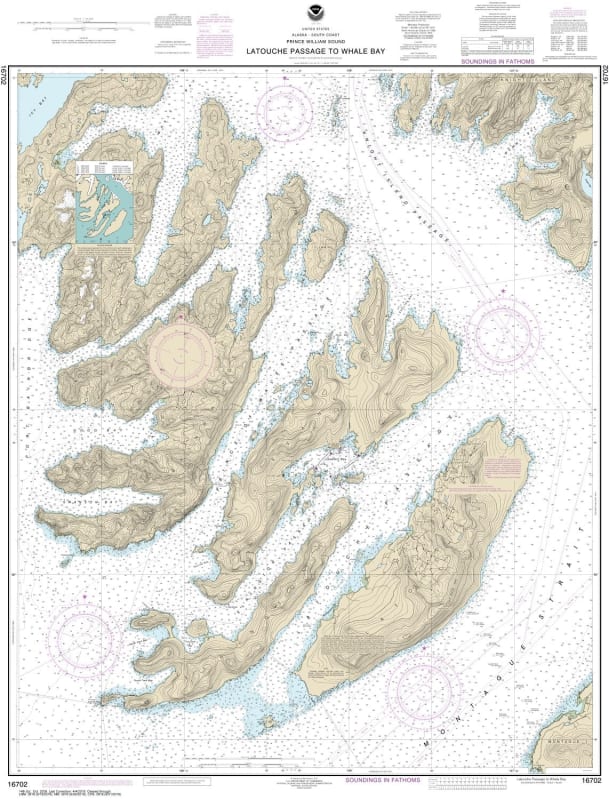 NOAA Chart 16702. Nautical Chart of Latouche Passage to Whale Bay. NOAA charts portray water depths, coastlines, dangers, aids to navigation, landmarks, bottom characteristics and other features, as well as regulatory, tide, and other information. They co