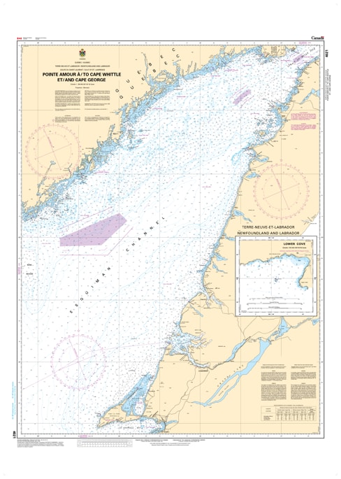 Official CHS 4021 Nautical Chart showing the Gulf of St. Lawrence from Pointe Amour to Cape Whittle and Cape George.