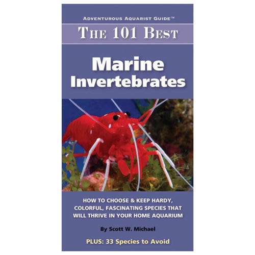 The 101 Best Marine Invertebrates Scott Michael The 101 Best Marine Invertebrates Scott Michael