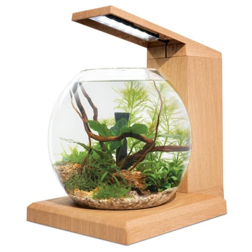 Fluval LIV Microscaping Aquarium Kit, Teak 6 L