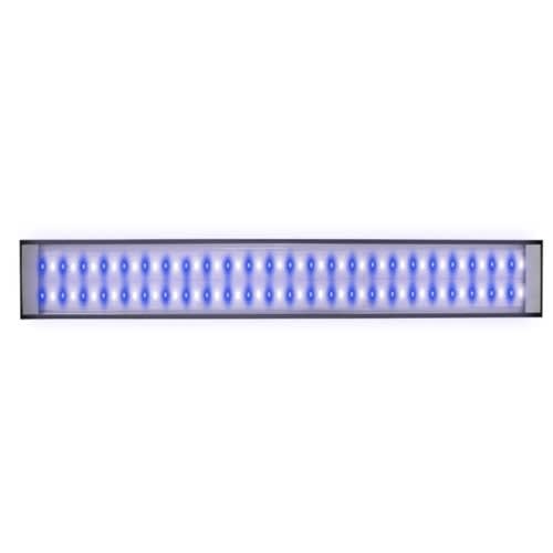 Reef Brite Lumi Lite Pro Ultra Actinic 30in