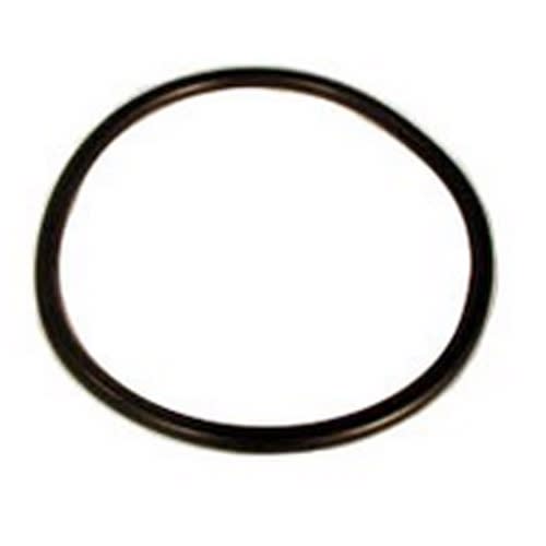Lifegard Aquatics Replacement Cap O-Ring 220001 Lifegard Aquatics Replacement Cap O-Ring 220001