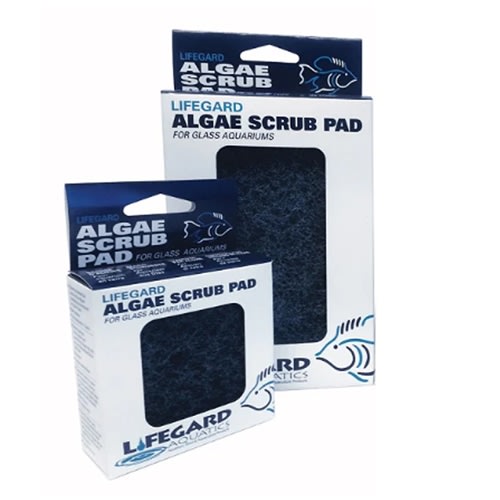 Lifegard Aquatics Pentair Aquatics 4" x 6" Algae Scrub Pad for Glass Tanks