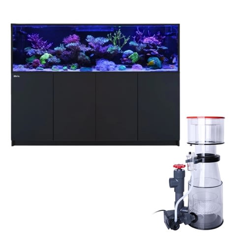 Red Sea REEFER S-1000 G3 Black Aquarium System & Reef Octopus OCTO Classic 200INT Protein Skimmer Bundle