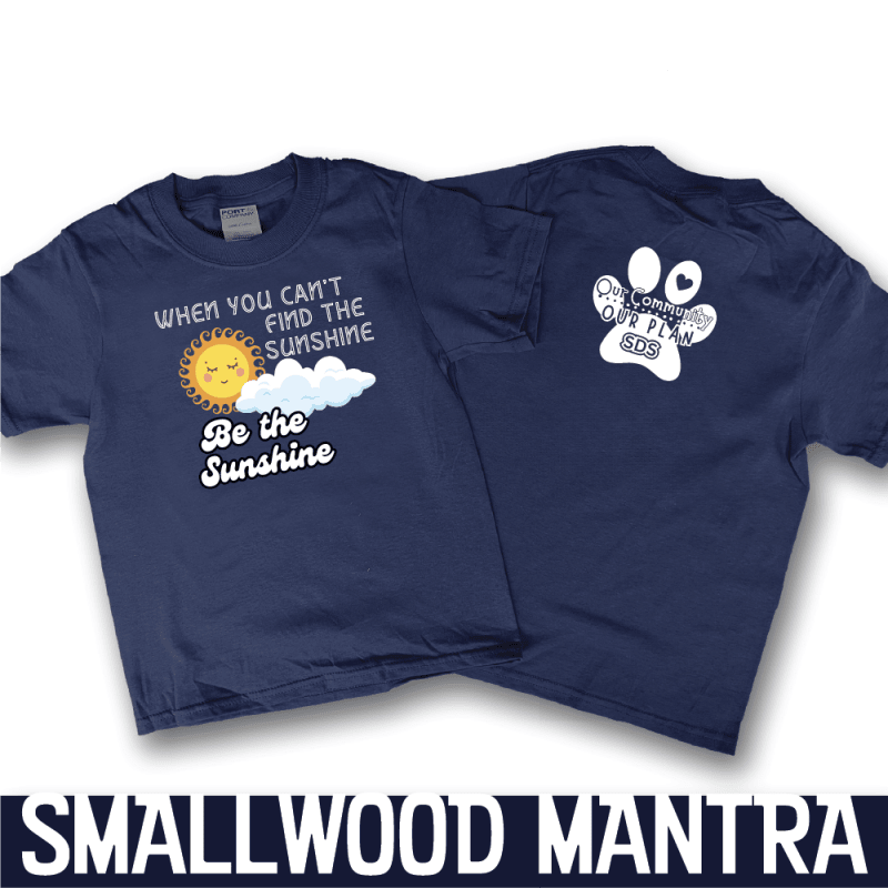 This is a tee shirt that reads When you can't find the sunshine, be the sunshine  short sleeve navy tee shirt