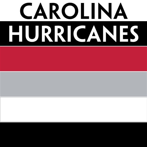 Carolina Hurricanes team colors custom printed mini hockey stick. Personalized mini hockey stick by ministixx.