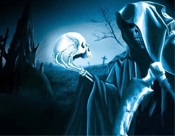Grim Reaper  Van Mural Decal Sheet