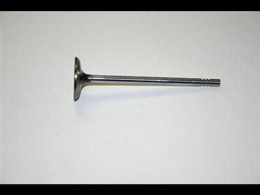 OEM Stock 3V SOHC Intake Valve