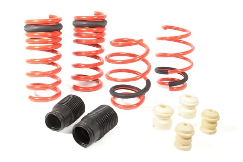 Eibach Sportline Kit 2015 Mustang