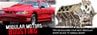 4.6 Ford Modular Short Blocks ¡§C A Guide to a Bottom End for Boost
