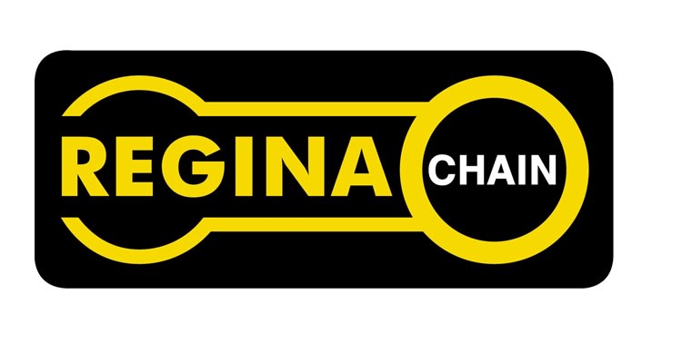 Regina Chain & Sprocket Kit 525ZRD chain and sprocket kit for 1998-2003 Honda VT750