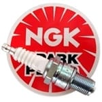 NGK Spark Plug  Iridium Harley Davidson