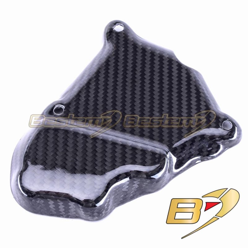 BMW S1000XR 2015-2017 Right Engine Pulse Timing Case BMW S1000XR 2015-2017 Right Engine Pulse Timing Case