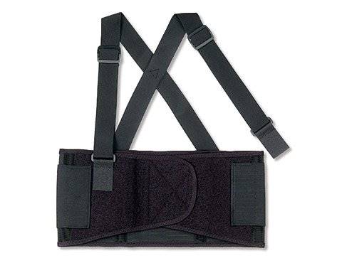 Ergodyne ProFlexÂ® 1650 Back Support, Extra Large