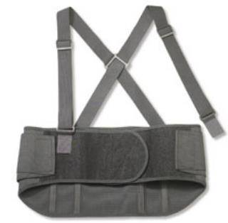 Ergodyne ProFlexÂ® Standard Back Support, Large