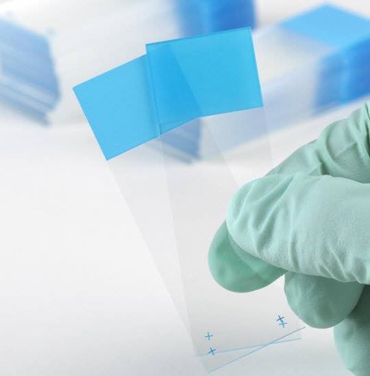 Globe Scientific Positive Charged Microscope Slide Globe Scientific Positive Charged Microscope Slide