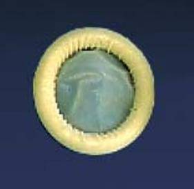 Parker Labs Ultra Coverâ„¢ Ultrasound Probe Cover