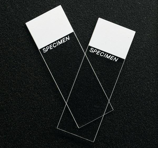 Erie Scientific SP® Superfrost® Microscope Slide Erie Scientific SP® Superfrost® Microscope Slide