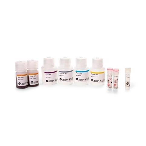Beckman Coulter Urine Chemistry Control Set iQ® 200 Series Focus Positive Level / Negative Level 4 X 125 mL Beckman Coulter Urine Chemistry Control Set iQ® 200 Series Focus Positive Level / Negative Level 4 X 125 mL