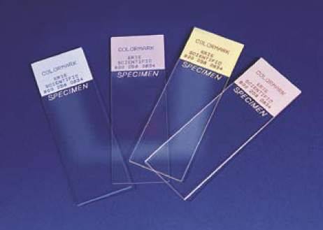 Erie Scientific ColormarkÂ® Plus Microscope Slide