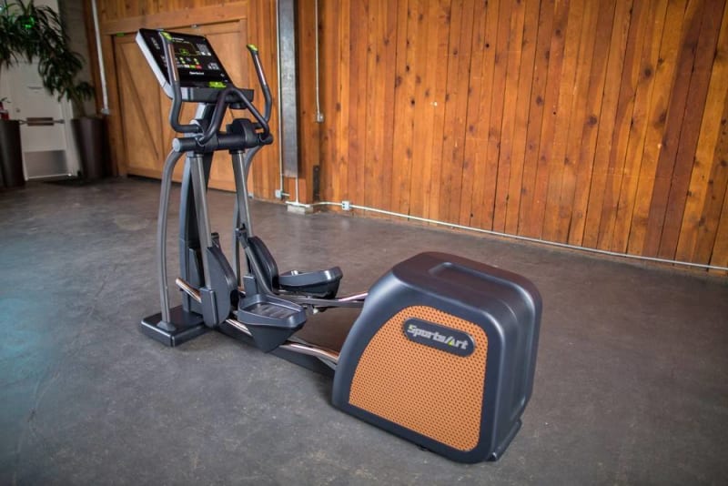 SportsArt E876 Status Eco-natural Elliptical SportsArt E876 Status Eco-natural Elliptical