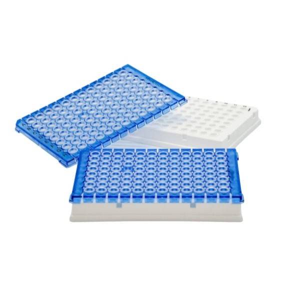 Molecular Designs LLC Molecular Reagent Simplicity Panelâ„¢ Urinary Tract Microbiota and Extended AMR 32 For Research Use Only For Real-Time PCR Detection Systems