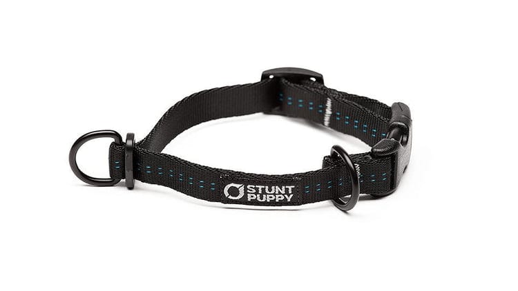 Stunt Puppy Everyday Collar
