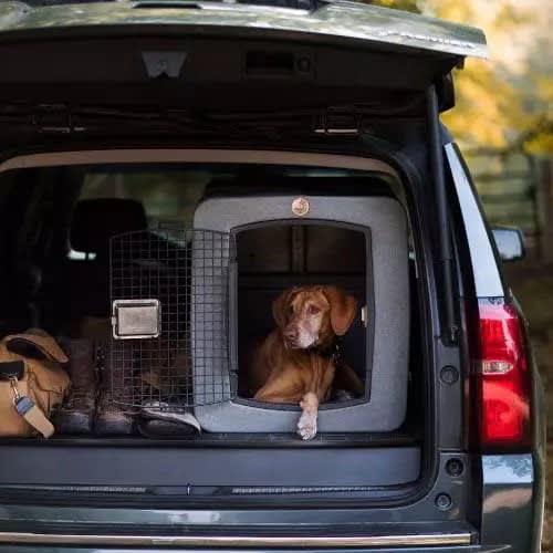 Safety Travel Crates