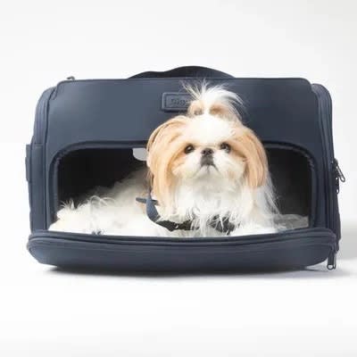 Passenger Travel Carriers