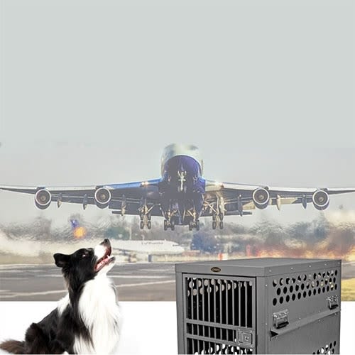 International Airline Travel Crates