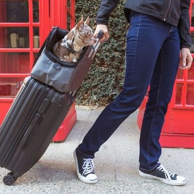 Airline Compliant Carriers