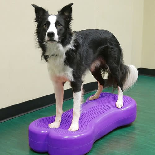 Balance Training Platforms