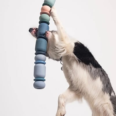 Bowls and Feeders