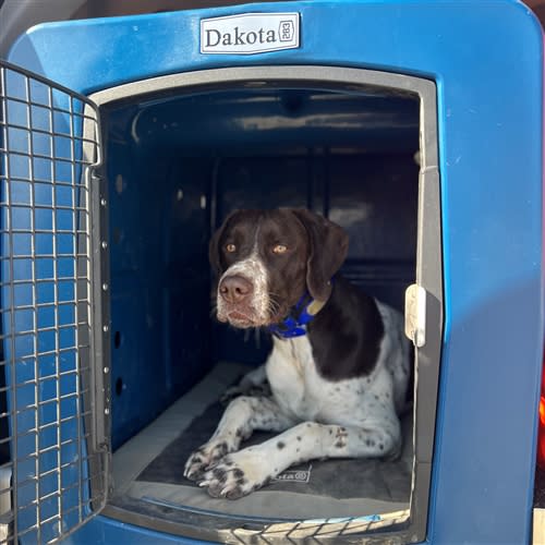 Domestic Airline Travel Crates