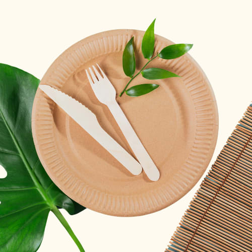 Forks, Knives, Napkins, Plates (Small - 10 Settings)