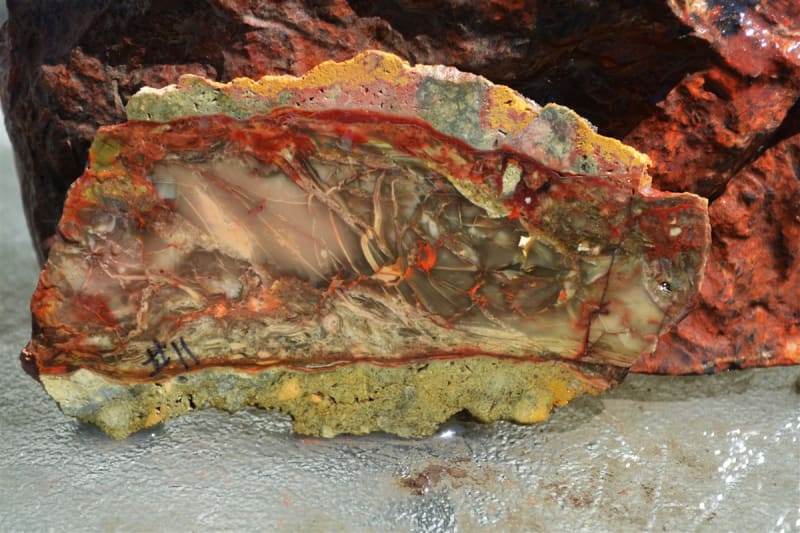 CARRASITE JASPER