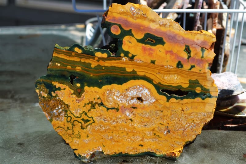 KABAMBY OCEAN JASPER