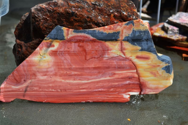 WINDY MOUNTAIN JASPER