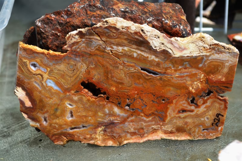 LYSITE AGATE - WYOMING