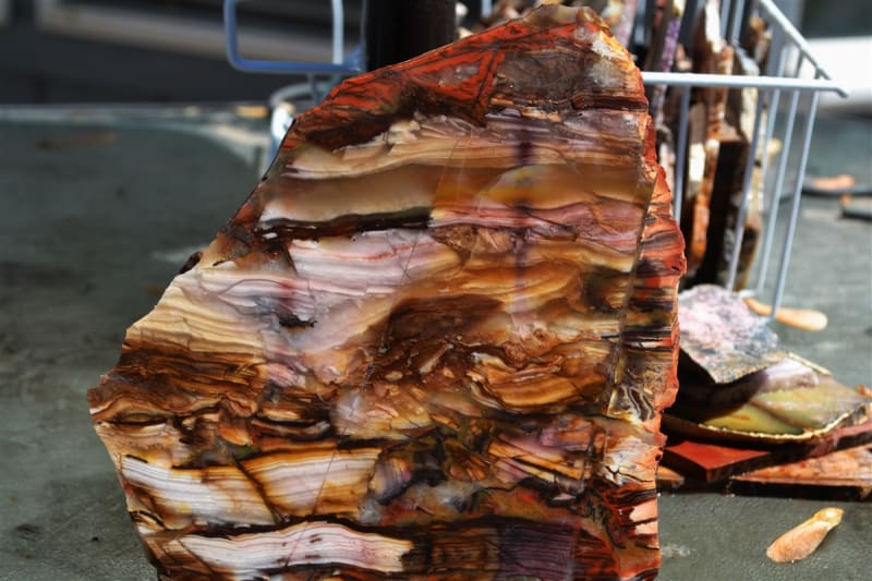 KOALA CHERT - AUSTRALIA