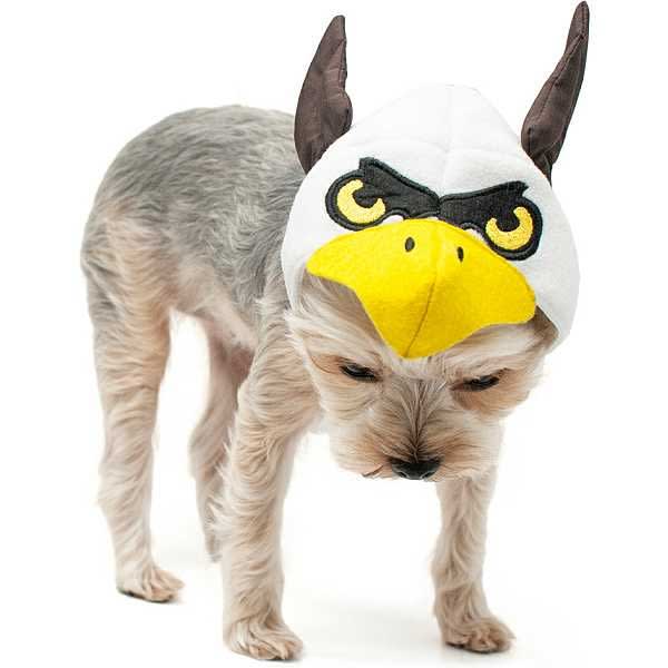 Bald Eagle Dog Hat