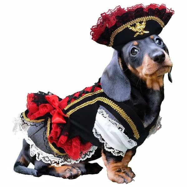 Girls Swashbuckler Pirate Costume Girls Swashbuckler Pirate Costume