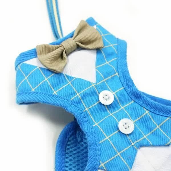 small dog harness with bow tie